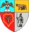 Coat of arms of Bistriţa-Năsăud County
