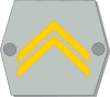 Insignia of alikersantti