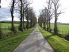 Avenue to Barrock Park - geograph.org.uk - 406144.jpg