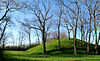 Campbell Mound, Columbus.jpg