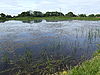 Chidlow - Pond at Hill Top Farm.jpg