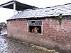 Cowshed, Hoole Bank, Cheshire - geograph.org.uk - 655213.jpg