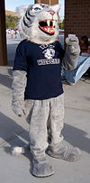 A costumed mascot wildcat. The costume is covered in gray and fuzzy. The mascot has a navy blue shirt with the text "DV Wildcats" and the school's wildcat logo.