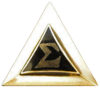DeltaSigmaBadge.png