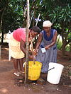 One woman stirring the stink bugs in the bucket carefully as another pours a small amount of water into it.
