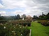 Exposition Park Rose Garden, Los Angeles.JPG