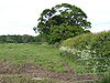 Fields south of Manor Farm - geograph.org.uk - 441065.jpg