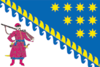 Flag of Dnipropetrovsk Oblast