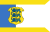 Flags of Estonia - Commander-in-Chief.svg