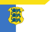 Flags of Estonia - Lieutenant General.svg
