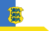 Flags of Estonia - Major General.svg