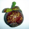Garcinia mangostana fruit1.jpg