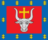 Kaunas County flag.png