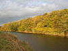 Mitton Wood and the River Ribble - geograph.org.uk - 1081064.jpg