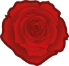 Red rose 02 -.jpg.svg