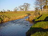 River Leith - geograph.org.uk - 113432.jpg