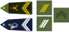 Career sergeant (top : infantry, bottom : chasseurs alpins)