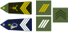 Chief Sergeant (top : Infantry, bottom : chasseurs alpins)