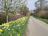 Springtime on the Butts - geograph.org.uk - 1805017.jpg