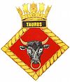 TAURUS badge-1-.jpg