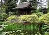 Tatton Japanese Garden.jpg
