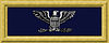 Union army col rank insignia.jpg