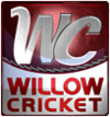 Willow Cricket.PNG