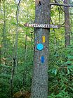 Narragansett Trail - intersection with Tippecansett Trail at the Connecticut-Rhode Island state border.