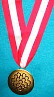 Warder's Medal of Honour