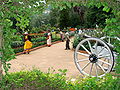 Botanical Gardens - Ootacamund (Ooty) - India 01.JPG