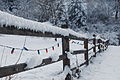 Christmas lights strung on snow-covered fence.JPG