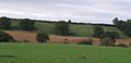 Farmland near West Chinnock - geograph.org.uk - 542179.jpg