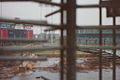 Metropolitan Stadium abandoned-5.jpg