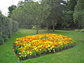 Mill Hill Park flowerbed 2.JPG