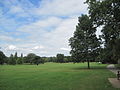 Mill Hill Park grass and trees.JPG