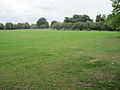 Mill Hill Park grassland.JPG