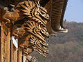 Musangsa Buddha Hall dragons.jpg