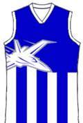 Nor-WestJets Jumper.png