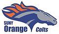 Orange County Community College Colts logo.JPG