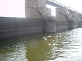 Pambar Dam8.JPG