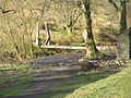 River Severn,Wooden footbridge,Rhyd-yr-Onnen - geograph.org.uk - 814670.jpg