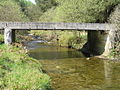 River Severn, Forestry road bridge, Cwm Ricket - geograph.org.uk - 809677.jpg