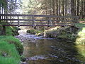 River Severn, Wooden Footbridge Rhyd-y-Benwch - geograph.org.uk - 808231.jpg