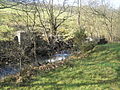 River Severn, old bridge supports,Tan Hinon - geograph.org.uk - 820717.jpg