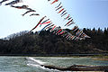 Sirataka Mogami River 2009.jpg