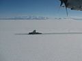 Swedish Icebreaker Oden proceeds down McMurdo Sound, Antarctica.jpg