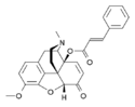 Chemical structure of 14-Cinnamoyloxycodeinone.