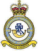 32 (The Royal) Squadron RAF.jpg