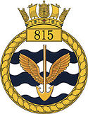 815 NAS badge.jpg