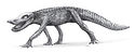 Anatosuchus.jpg